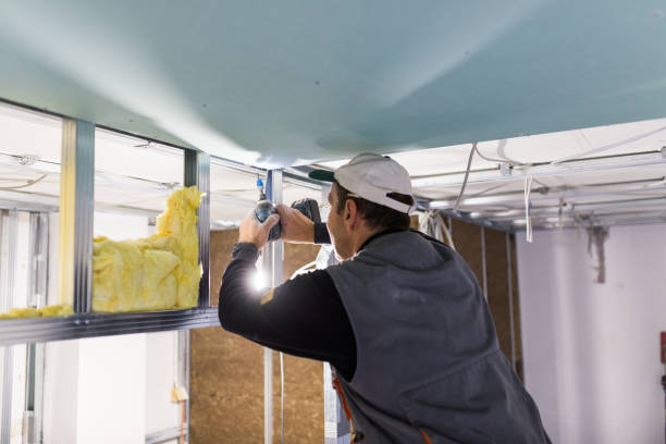 Best Blown-in Insulation in Homer, GA