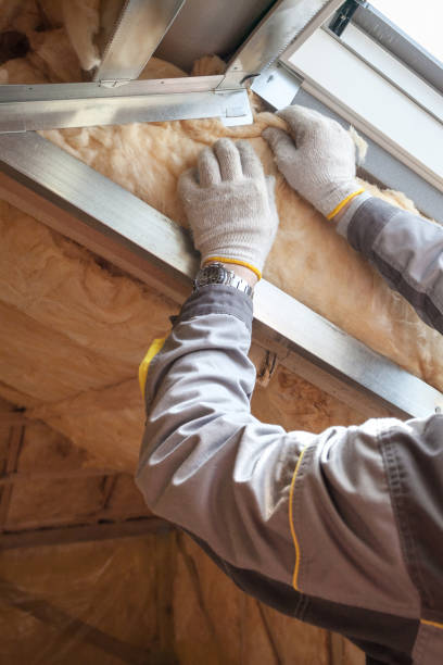 Best DIY Insulation Kits and Guidance in Homer, GA