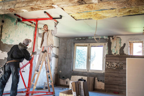 Best Eco-Friendly Insulation in Homer, GA