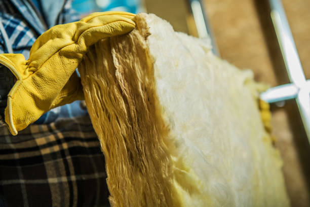 Best Cellulose Insulation in Homer, GA