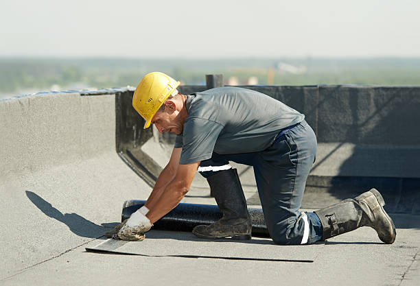 Best Insulation Maintenance and Repair in Homer, GA
